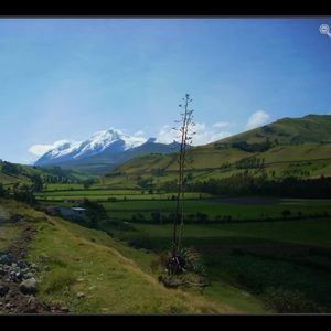 Meet your Posher, K.